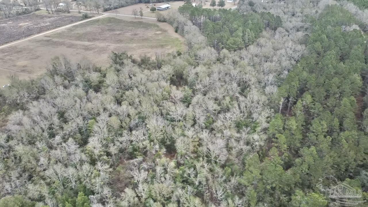 3000 North Pine Barren Road McDavid, FL 32568 - Photo 13 of 22
