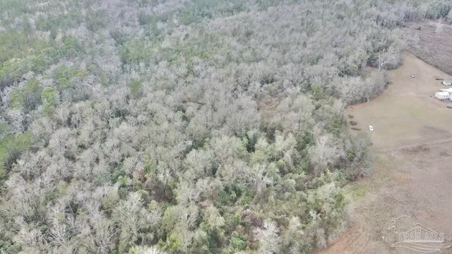a close up of a wall with a dry yard