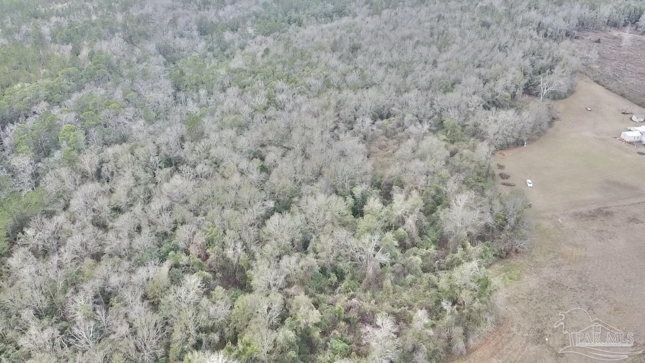 3000 North Pine Barren Road McDavid, FL 32568 - Photo 14 of 22