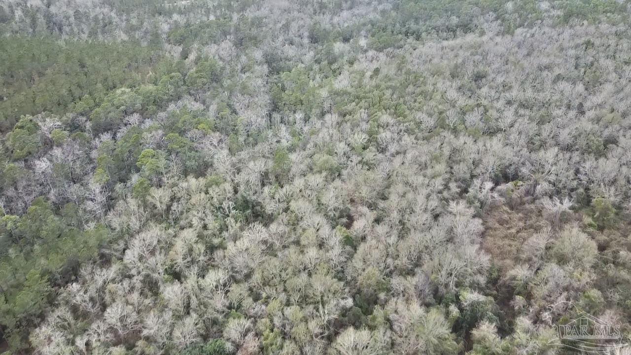 3000 North Pine Barren Road McDavid, FL 32568 - Photo 15 of 22