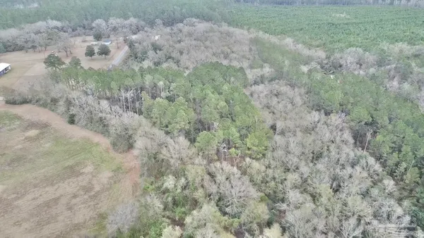 $249,000 | 3000 North Pine Barren Road, McDavid, FL 32568