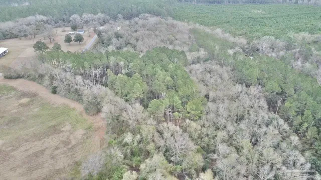 a close up of a field