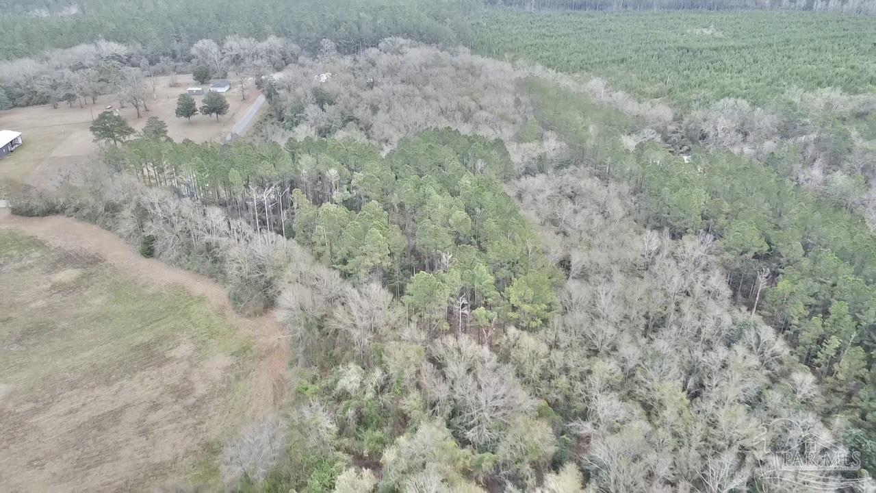3000 North Pine Barren Road McDavid, FL 32568 - Photo 16 of 22