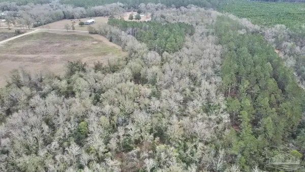 $249,000 | 3000 North Pine Barren Road, McDavid, FL 32568