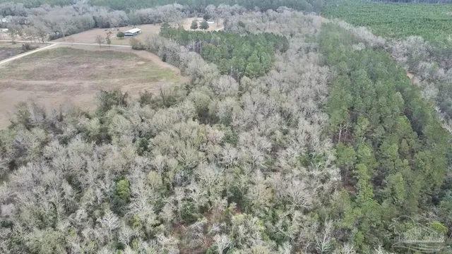 a view of a dry yard with green space