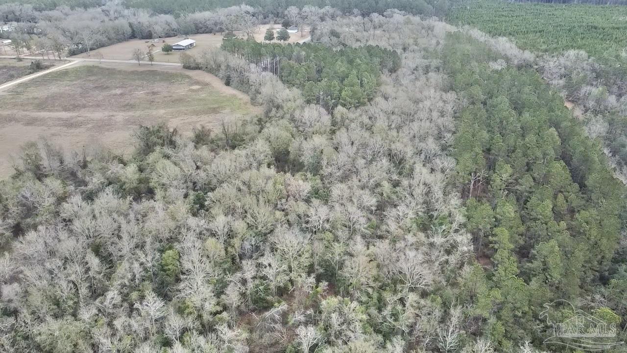 3000 North Pine Barren Road McDavid, FL 32568 - Photo 17 of 22
