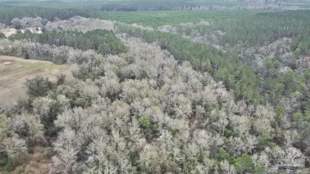 a view of a field with trees in background
