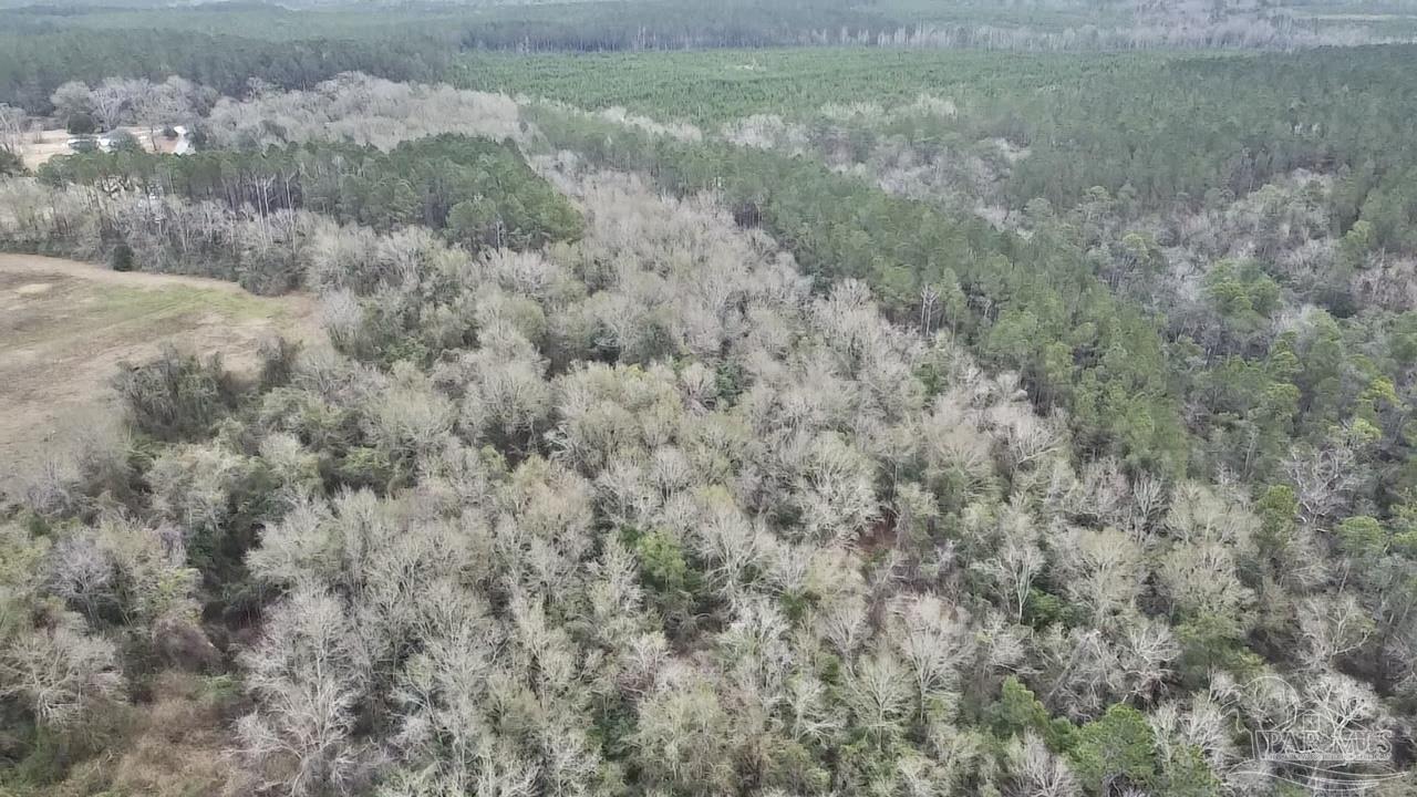 3000 North Pine Barren Road McDavid, FL 32568 - Photo 18 of 22