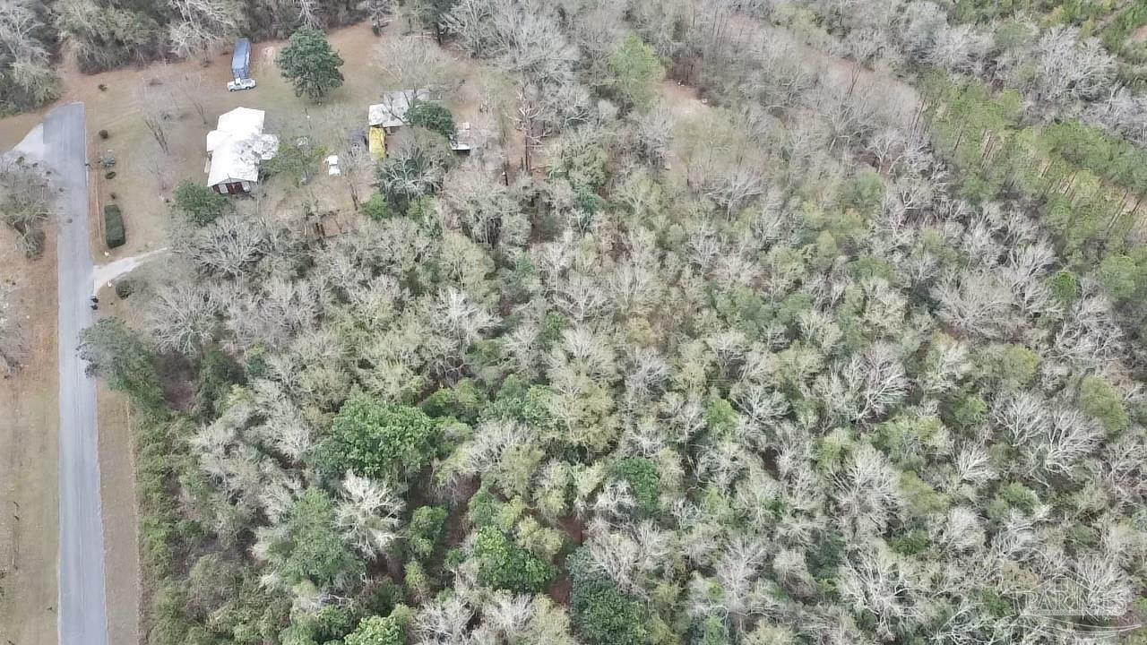 3000 North Pine Barren Road McDavid, FL 32568 - Photo 20 of 22