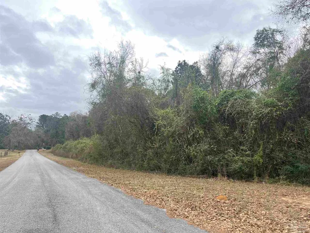 a view of a dry yard with trees