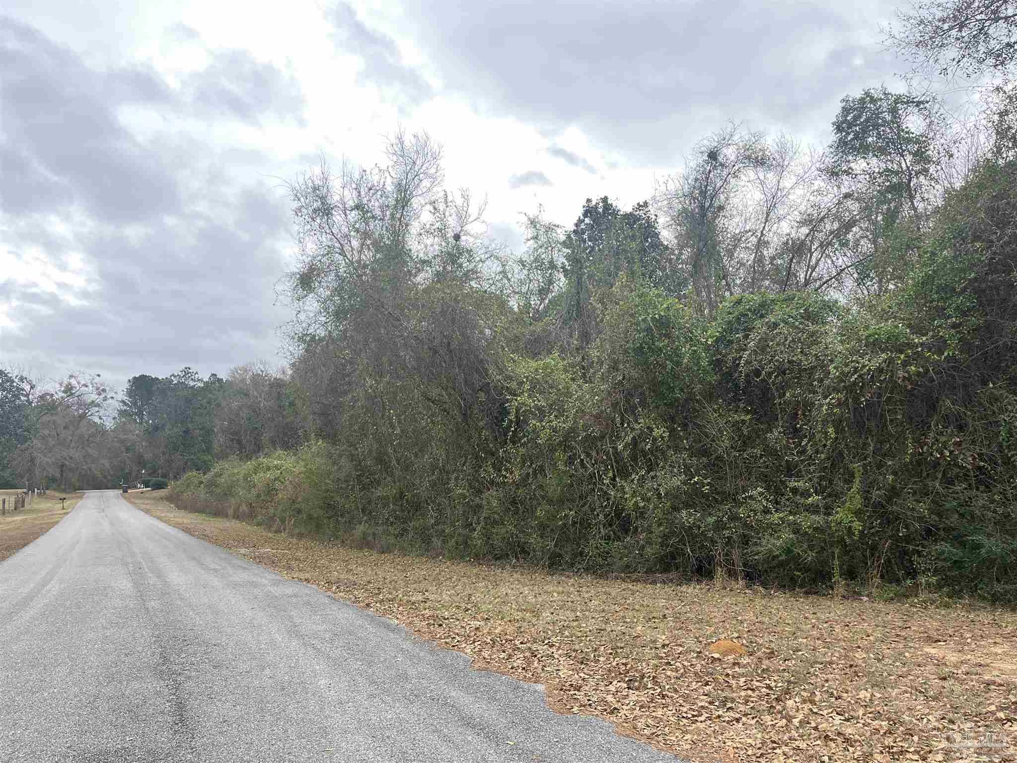 3000 North Pine Barren Road McDavid, FL 32568 - Photo 2 of 22