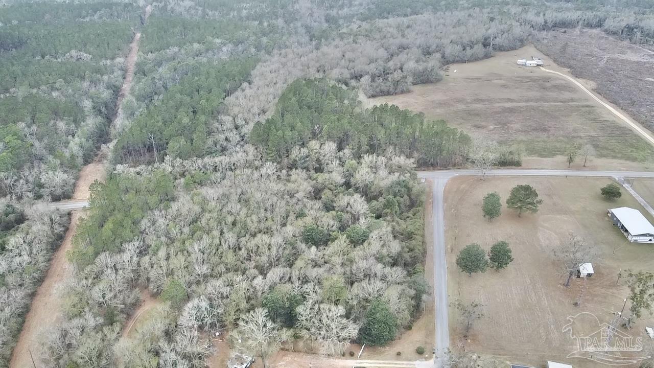 3000 North Pine Barren Road McDavid, FL 32568 - Photo 21 of 22