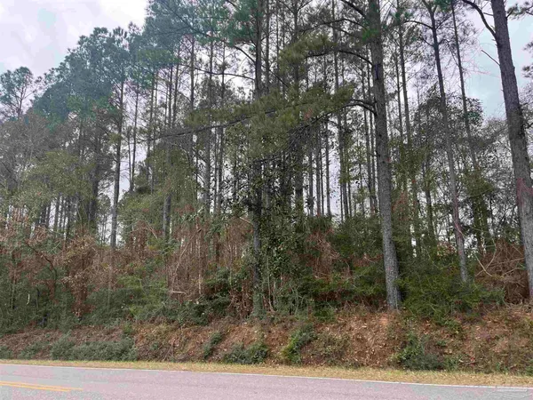 $249,000 | 3000 North Pine Barren Road, McDavid, FL 32568