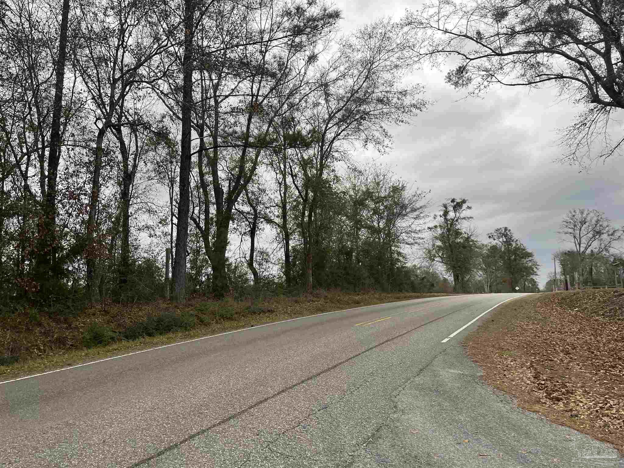 3000 North Pine Barren Road McDavid, FL 32568 - Photo 6 of 22