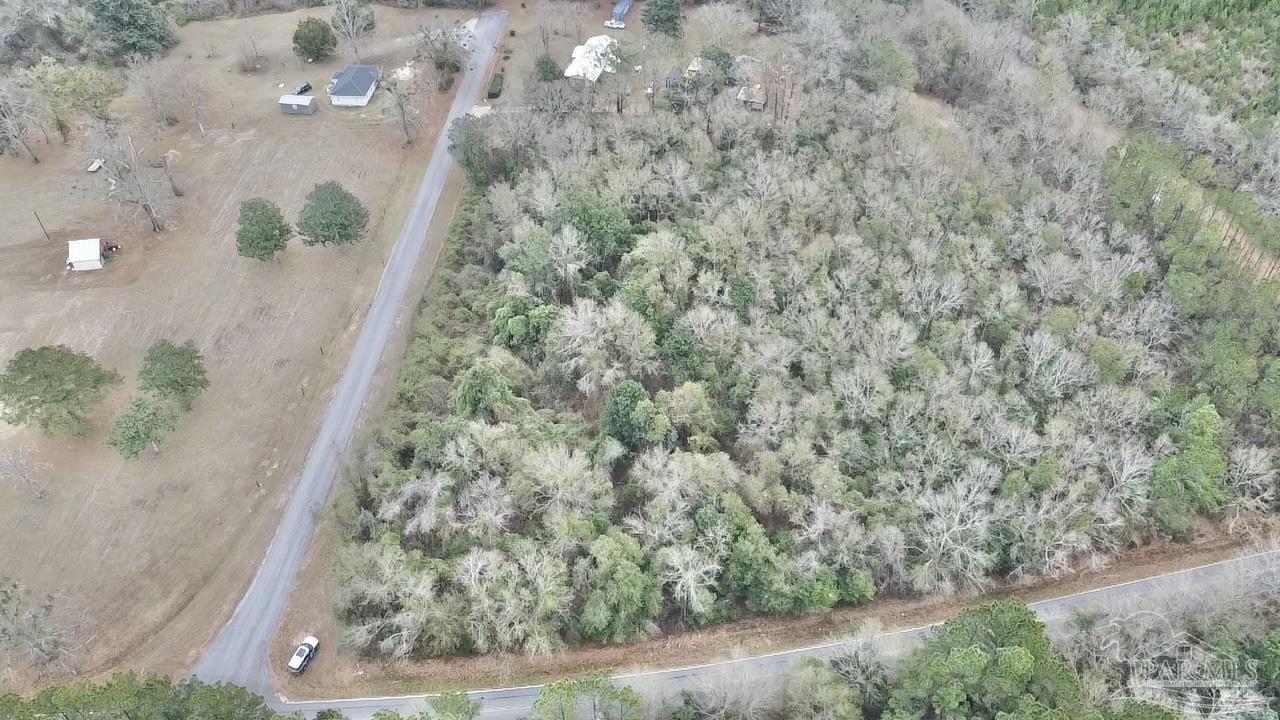 3000 North Pine Barren Road McDavid, FL 32568 - Photo 9 of 22