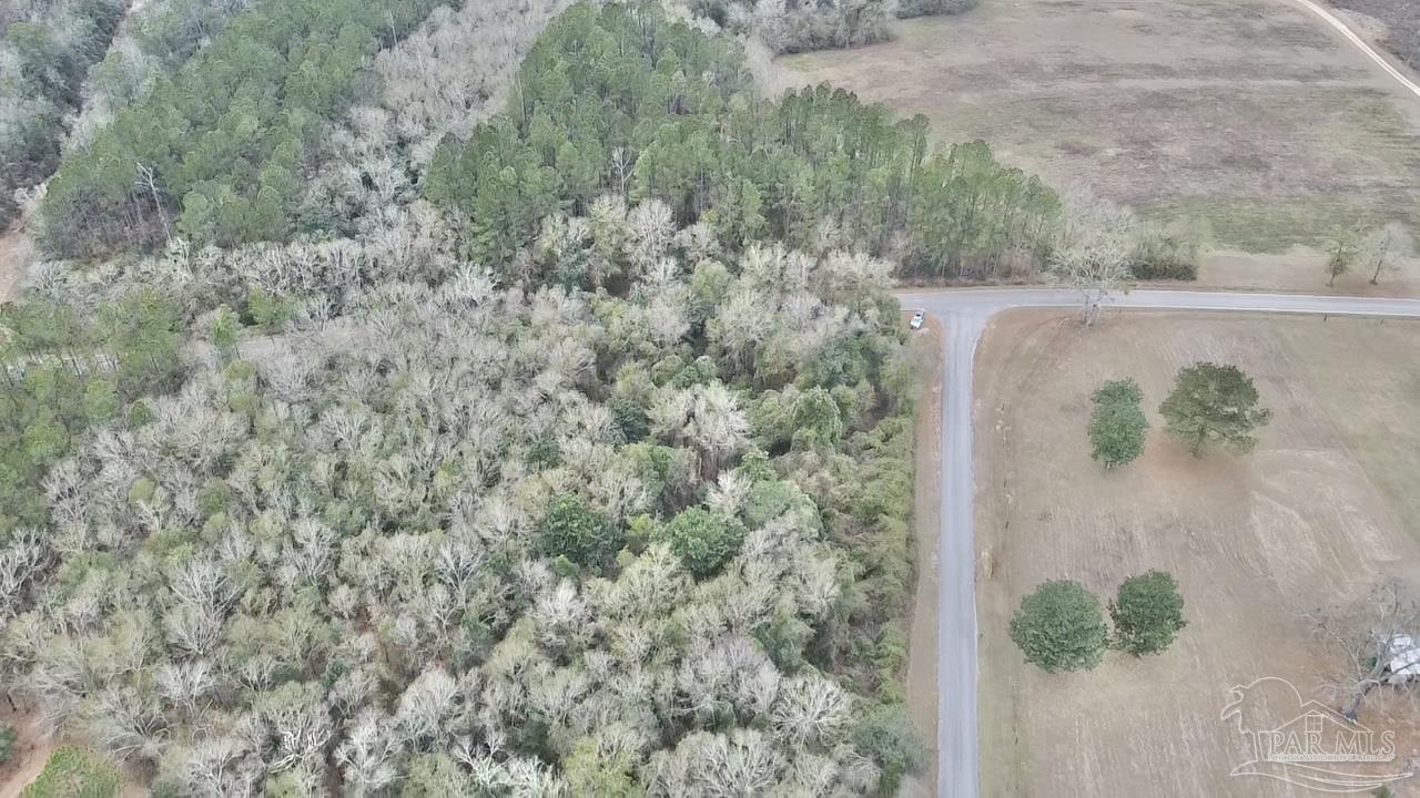 3000 North Pine Barren Road McDavid, FL 32568 - Photo 10 of 22