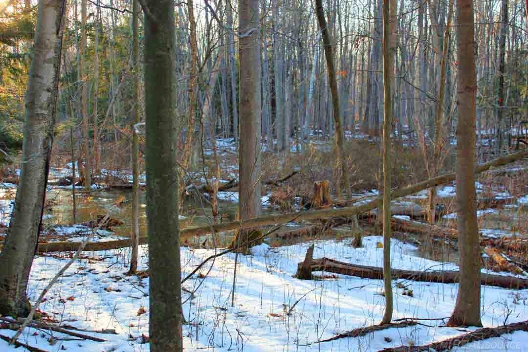 0 North Ridge Road Carsonville, MI 48419 - Photo 4 of 4