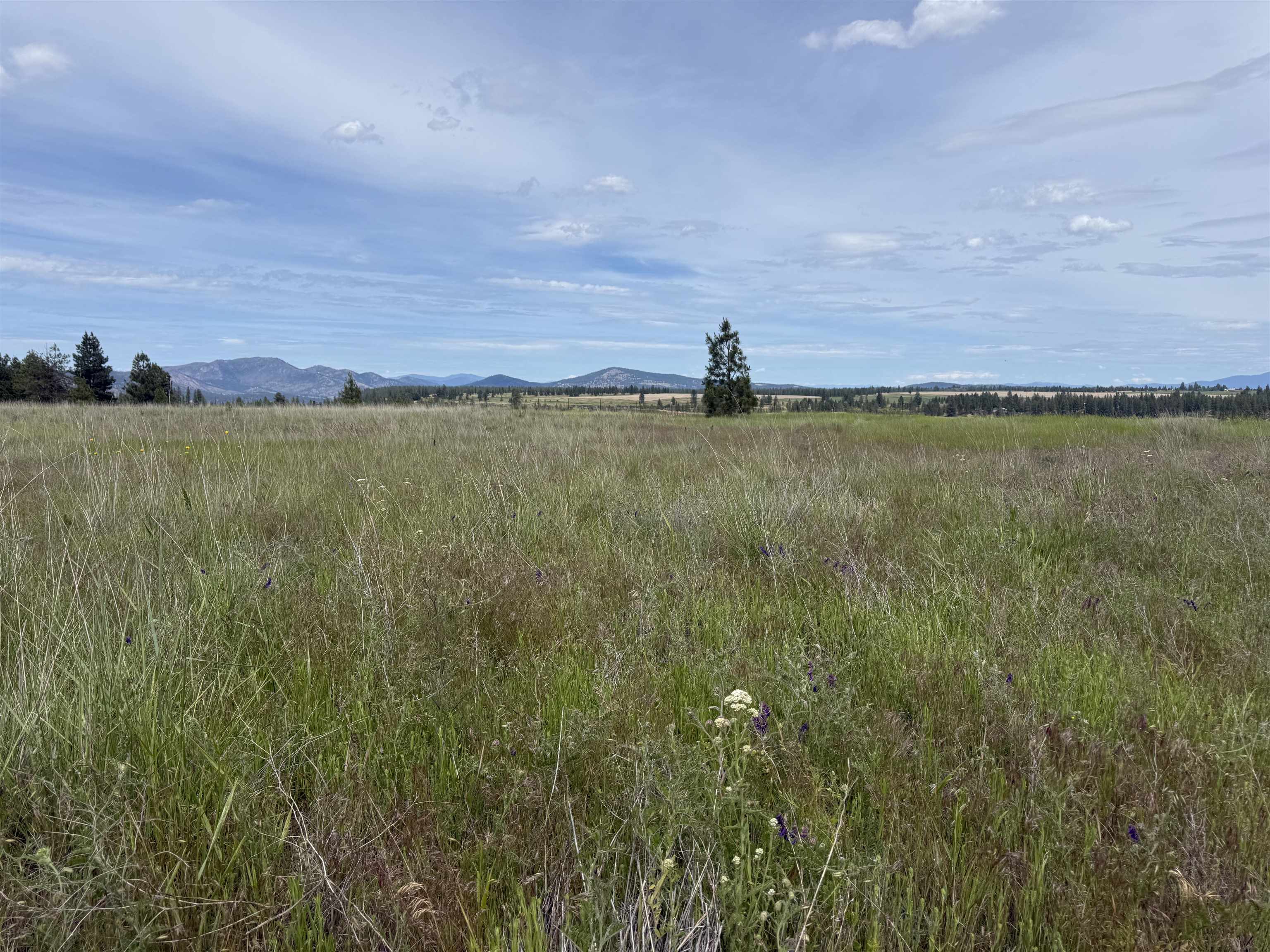 15211 North Wood Road Ford, WA 99013 - Photo 8 of 36
