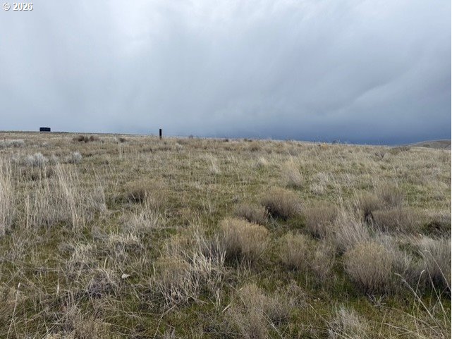 Mary Lane Ione, OR 97843 - Photo 4 of 19 a view of a dry field