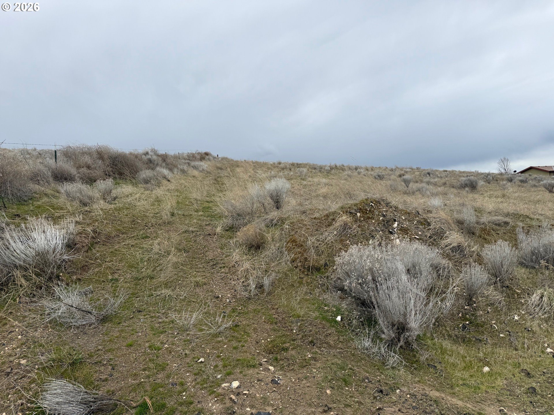 Mary Lane Ione, OR 97843 - Photo 5 of 19