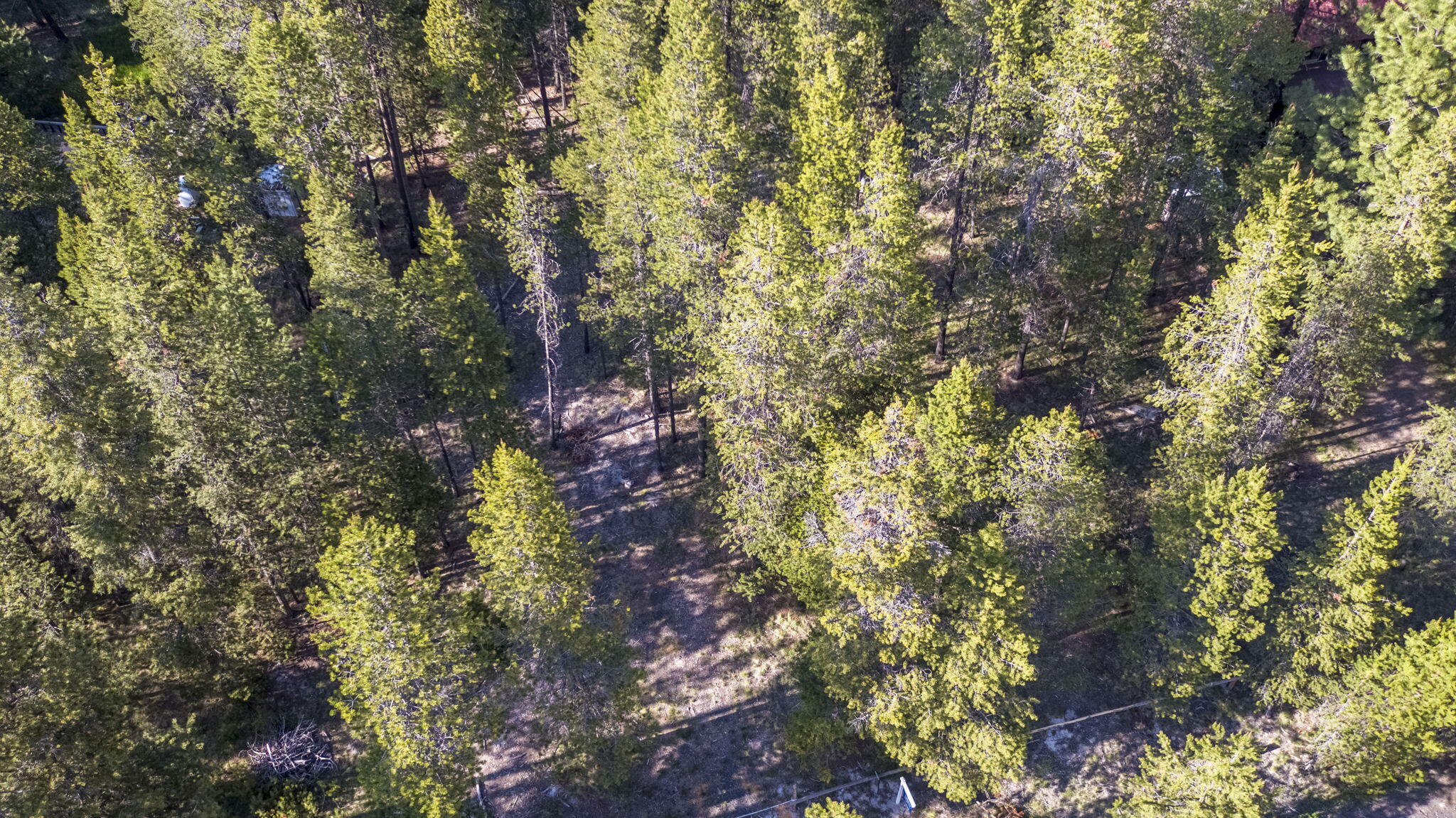 17092 Island Loop Way Bend, OR 97707 - Photo 9 of 17 Island Way