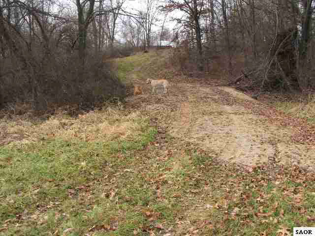 1799 South Warren Road Ovid, MI 48866 - Photo 3 of 5 48104-2.JPG