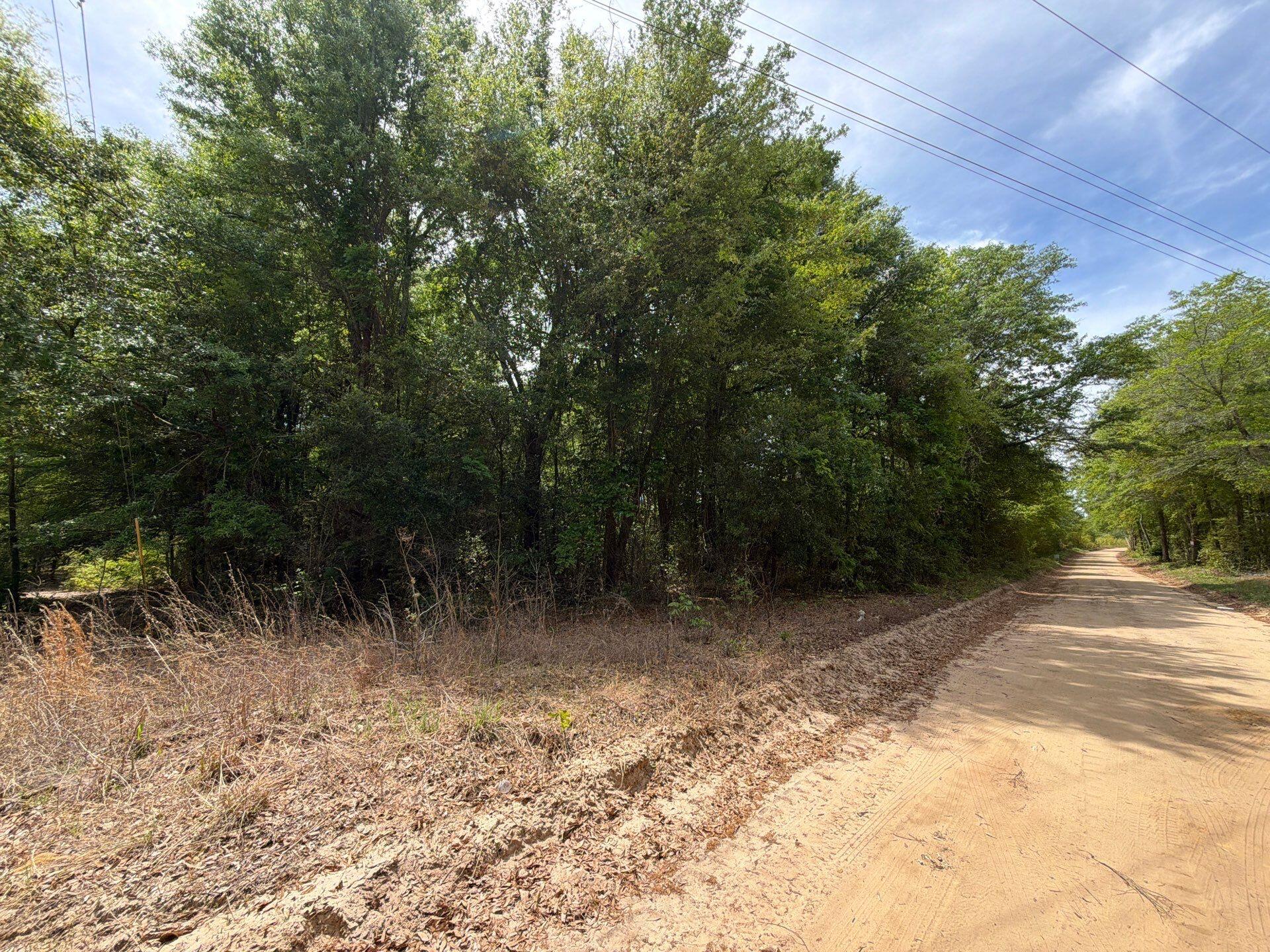 5 Rogers Cemetery Road, Unit RRF 5 Salley, SC 29137 - Photo 13 of 24