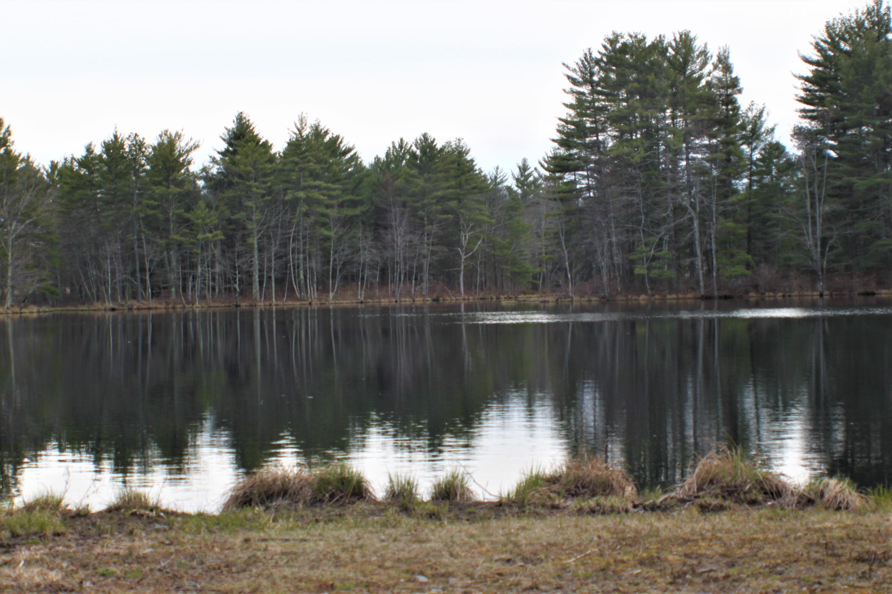 80 Main Street Waterboro, ME 04030 - Photo 11 of 45 Waterfront