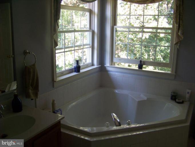 24 Farm Ridge Court Baldwin, MD 21013 - Photo 24 of 30 a bath tub sitting in a bathroom next to a window