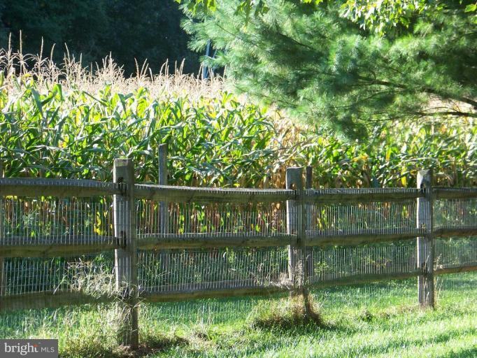 24 Farm Ridge Court Baldwin, MD 21013 - Photo 29 of 30 a wooden fence with trees in the background