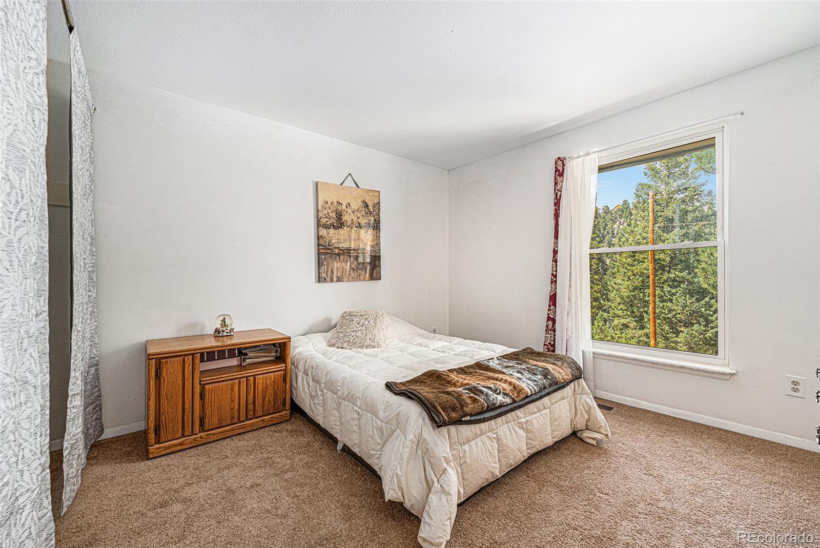 10142 South Turkey Creek Road Conifer, CO 80433 - Photo 15 of 48