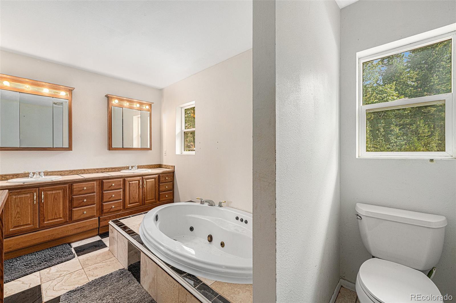 10142 South Turkey Creek Road Conifer, CO 80433 - Photo 20 of 48 a bathroom with a sink a toilet a mirror a bathtub and next to a window