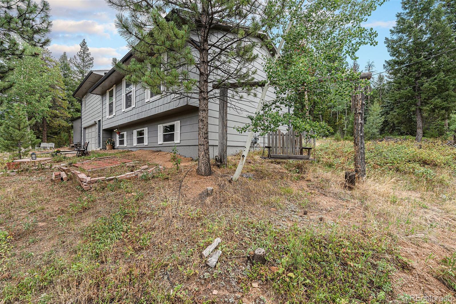 10142 South Turkey Creek Road Conifer, CO 80433 - Photo 32 of 48 a tree in front of a house with a trees