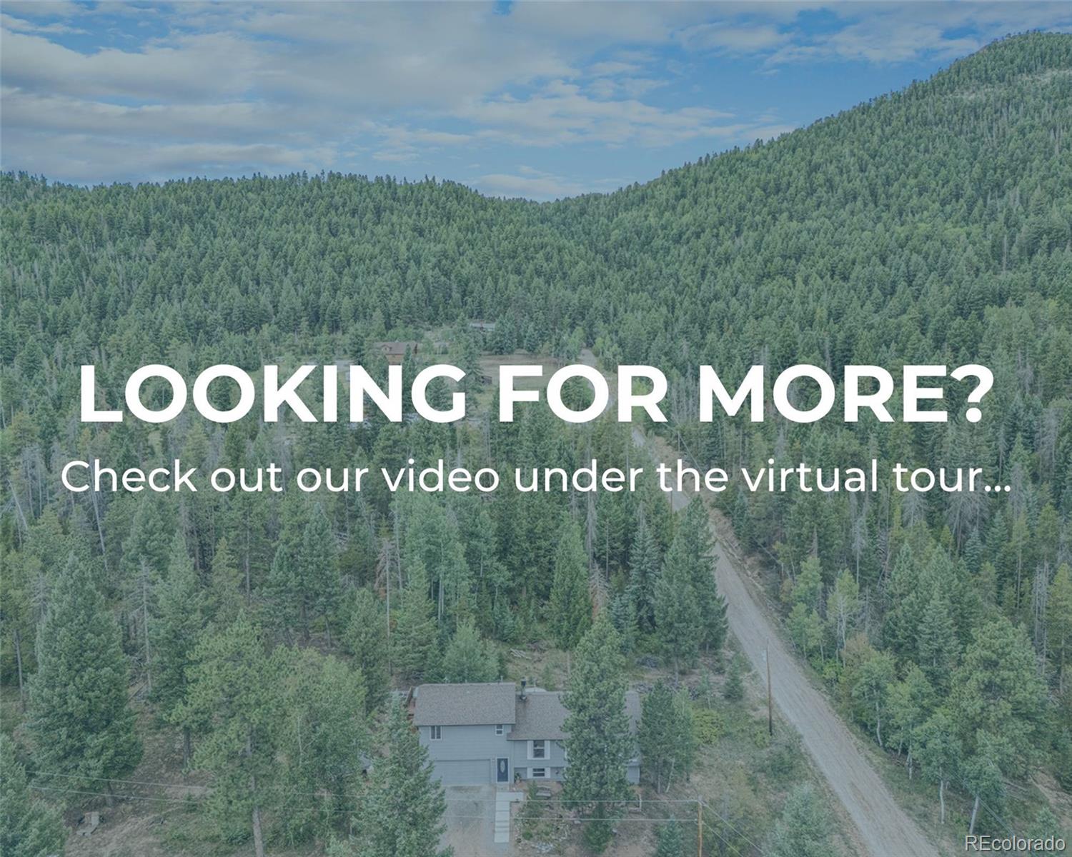 10142 South Turkey Creek Road Conifer, CO 80433 - Photo 4 of 48 a view of outdoor space with sign board