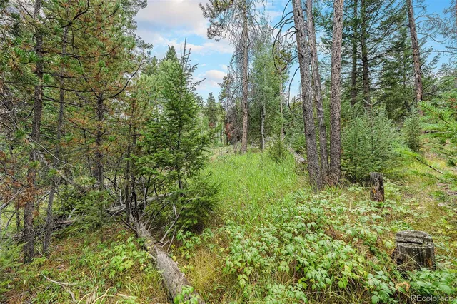 $699,000 | 10142 South Turkey Creek Road, Conifer, CO 80433