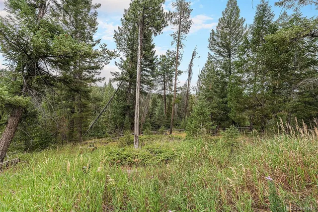 $699,000 | 10142 South Turkey Creek Road, Conifer, CO 80433