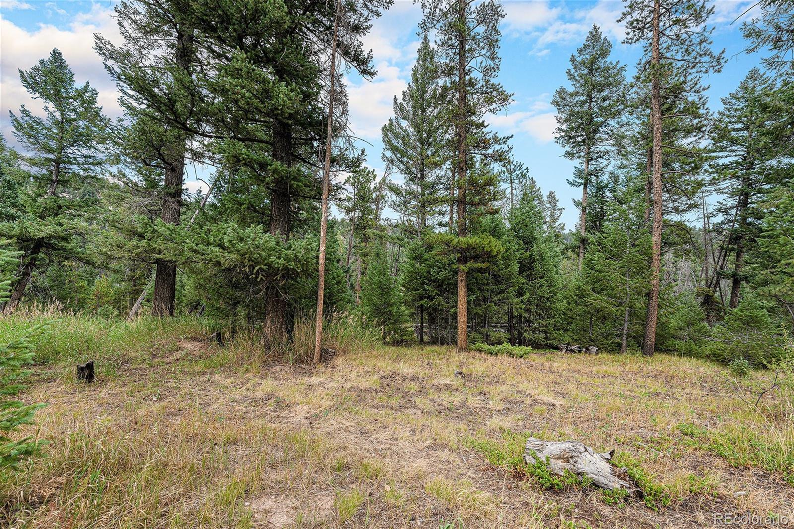 10142 South Turkey Creek Road Conifer, CO 80433 - Photo 44 of 48 a view of backyard with green space