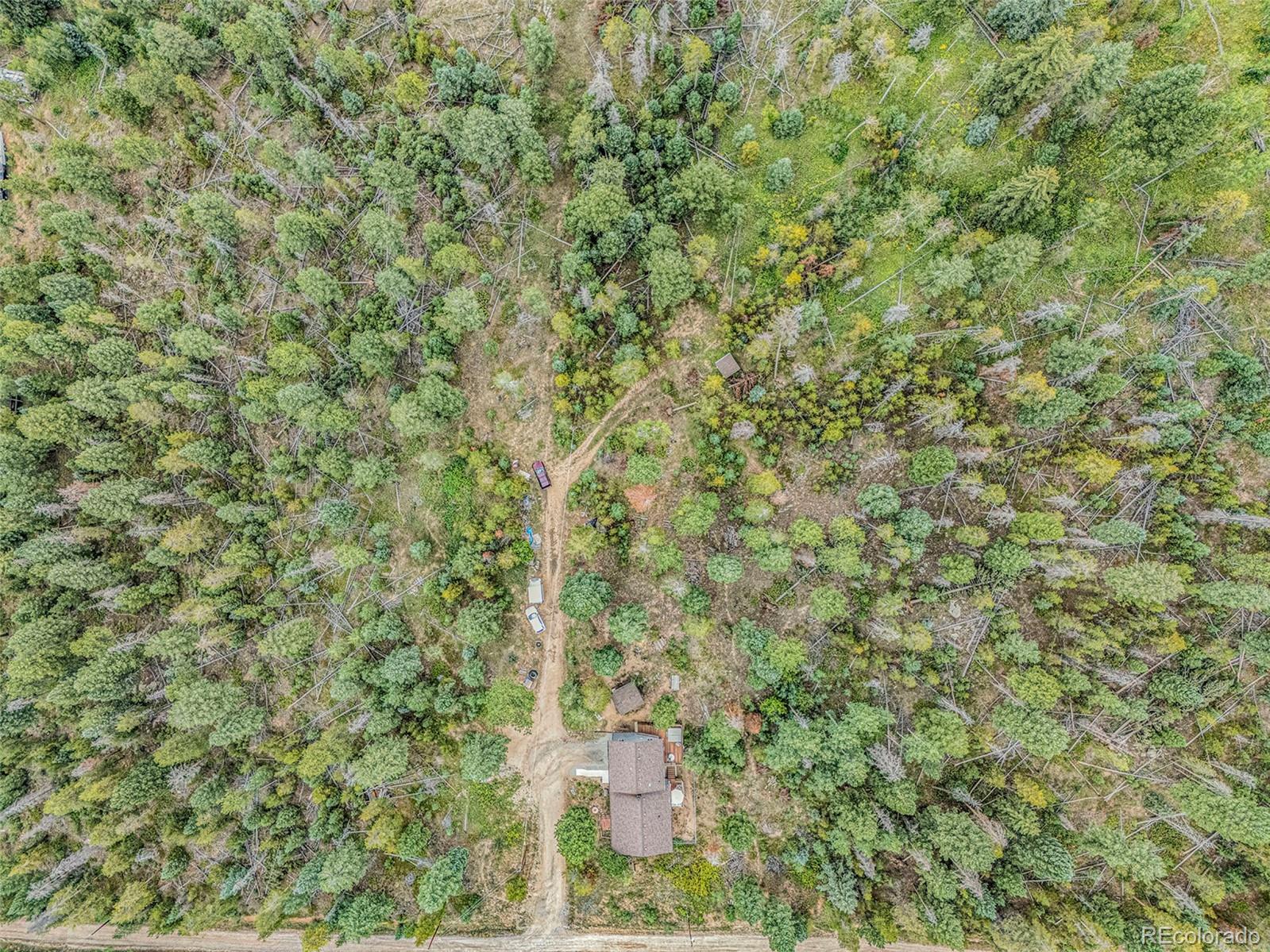 10142 South Turkey Creek Road Conifer, CO 80433 - Photo 48 of 48