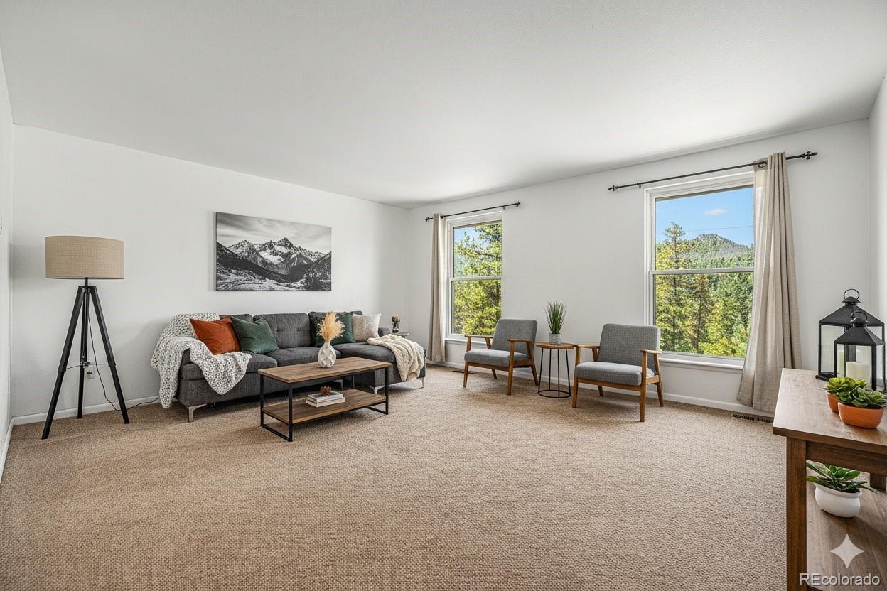 10142 South Turkey Creek Road Conifer, CO 80433 - Photo 10 of 48