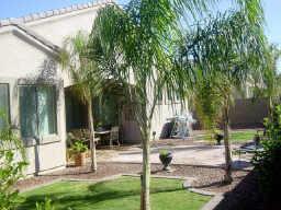 4233 East Reins Road Gilbert, AZ 85297 - Photo 4 of 4 Backyard