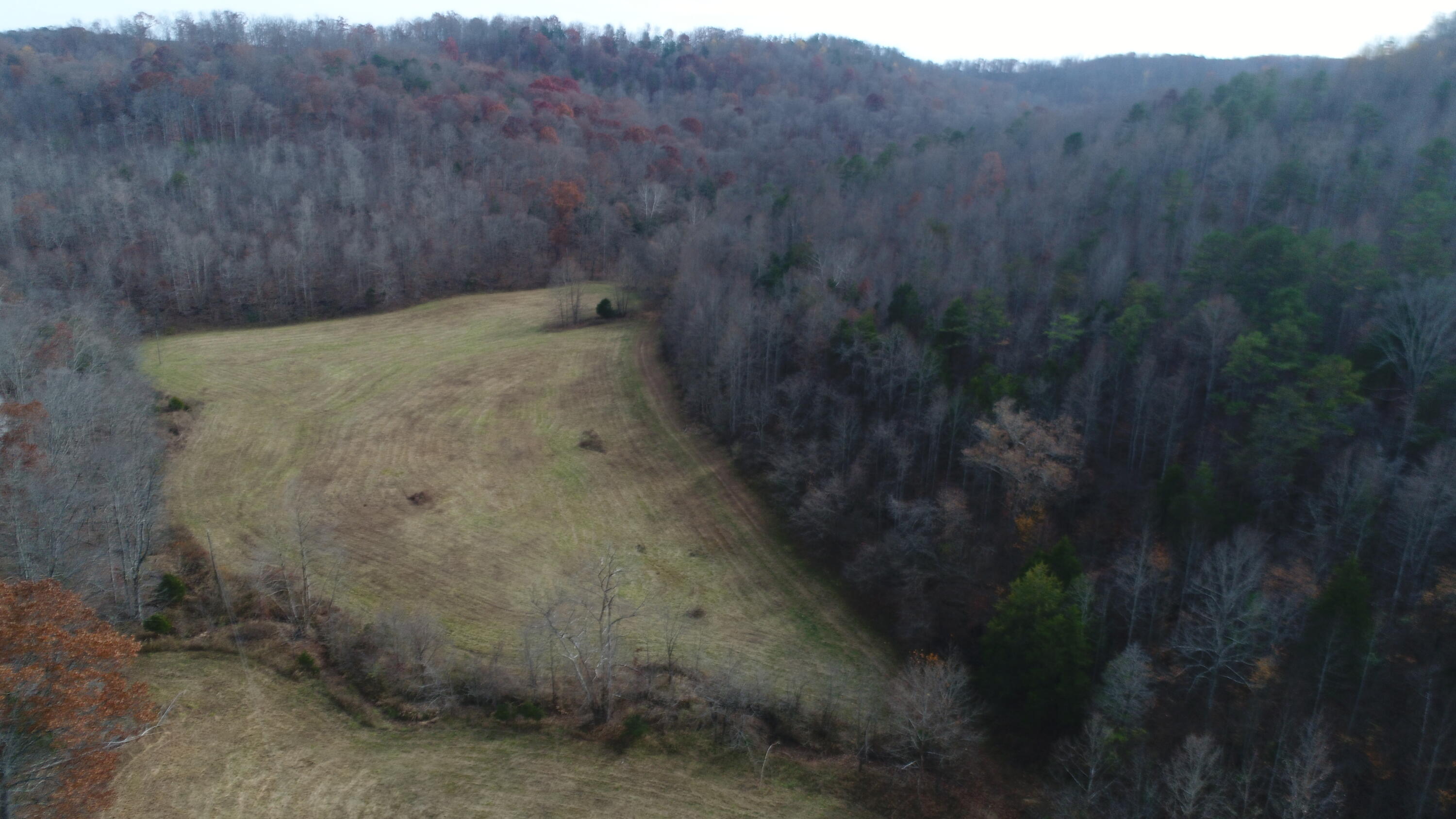 2499 Piney Grove Road Somerset, KY 42501 - Photo 34 of 34 DJI_0026