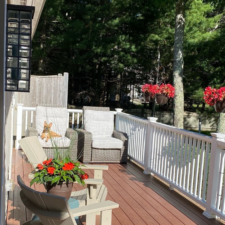39 Popmunet Road Falmouth, MA 02536 - Photo 2 of 42 Gallery Image 2
