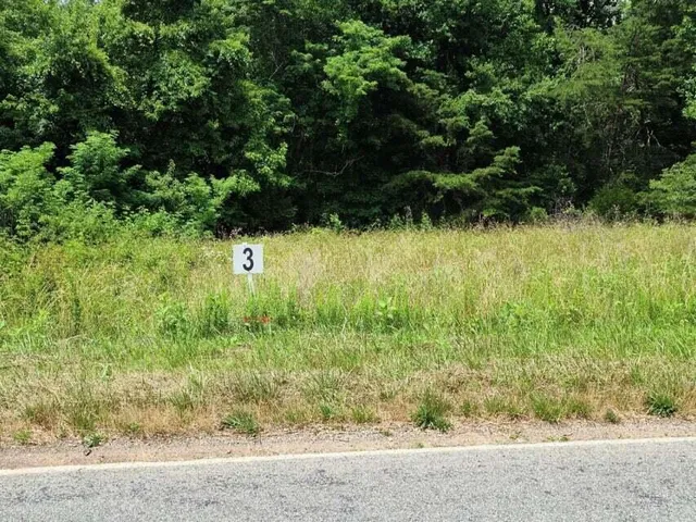 $29,711 | Lot 3 Dillards Hill Road, Union Hall, VA 24176