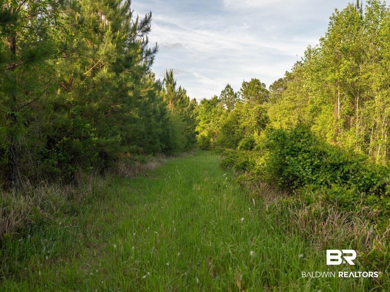 0 Flowers Road Bay Minette, AL 36507 - Photo 34 of 53 Gallery Image 34