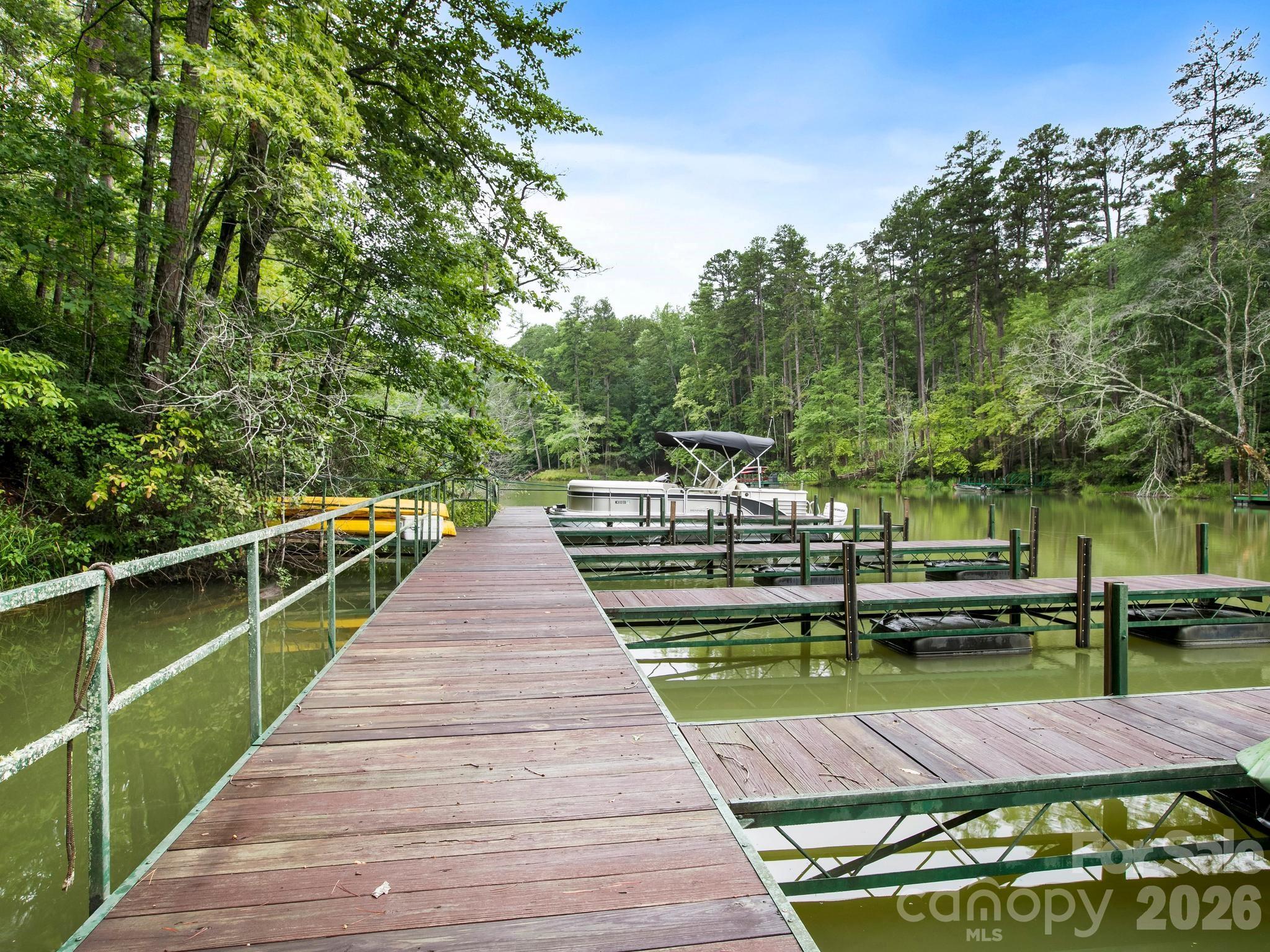 46 Indian Summer Lane Mill Spring, NC 28756 - Photo 20 of 30