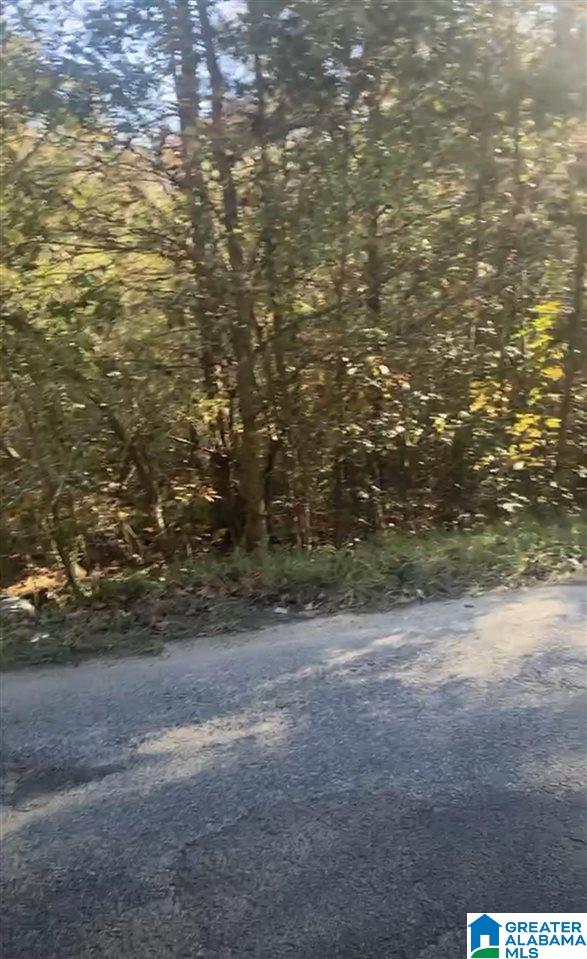 0 County Road 774, Unit 5R Montevallo, AL 35115 - Photo 1 of 3