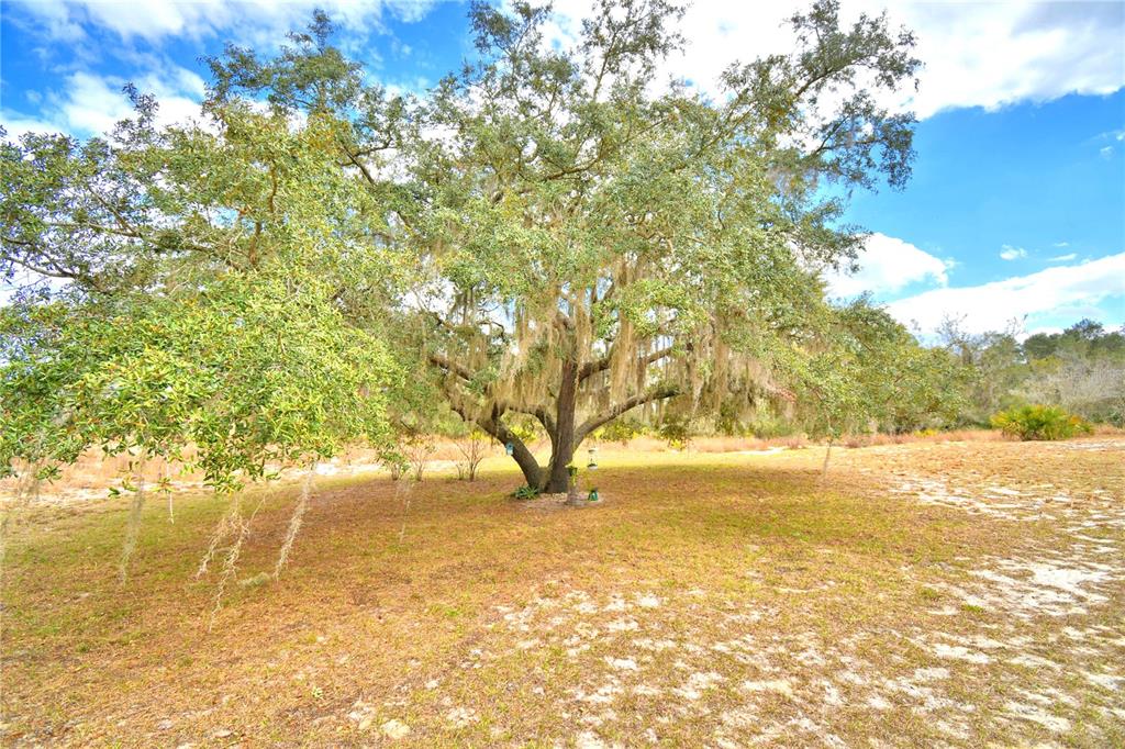23 Armadillo Road Frostproof, FL 33843 - Photo 43 of 47