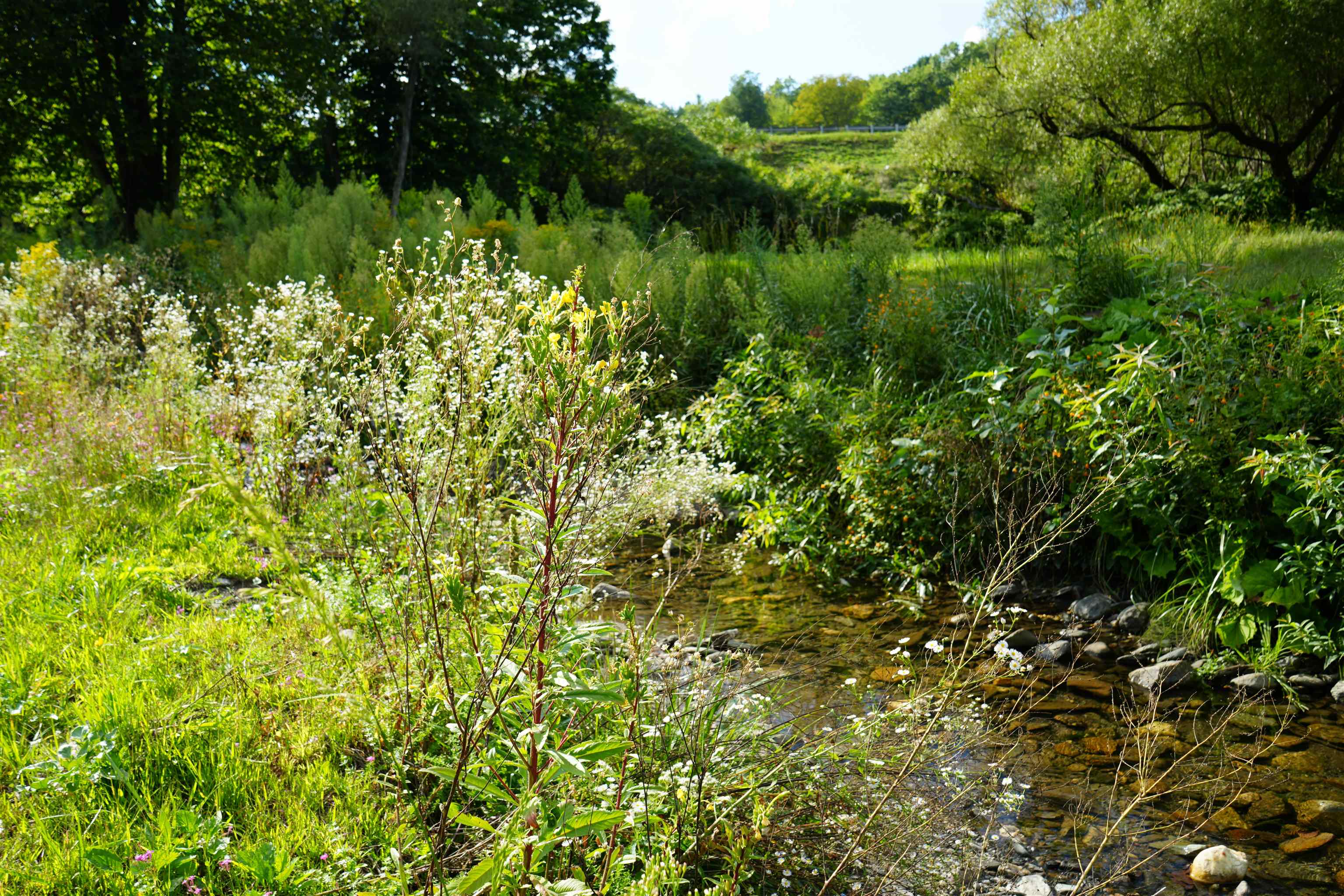 1268 County Road Windsor, VT 05089 - Photo 2 of 20 Gallery Image 2