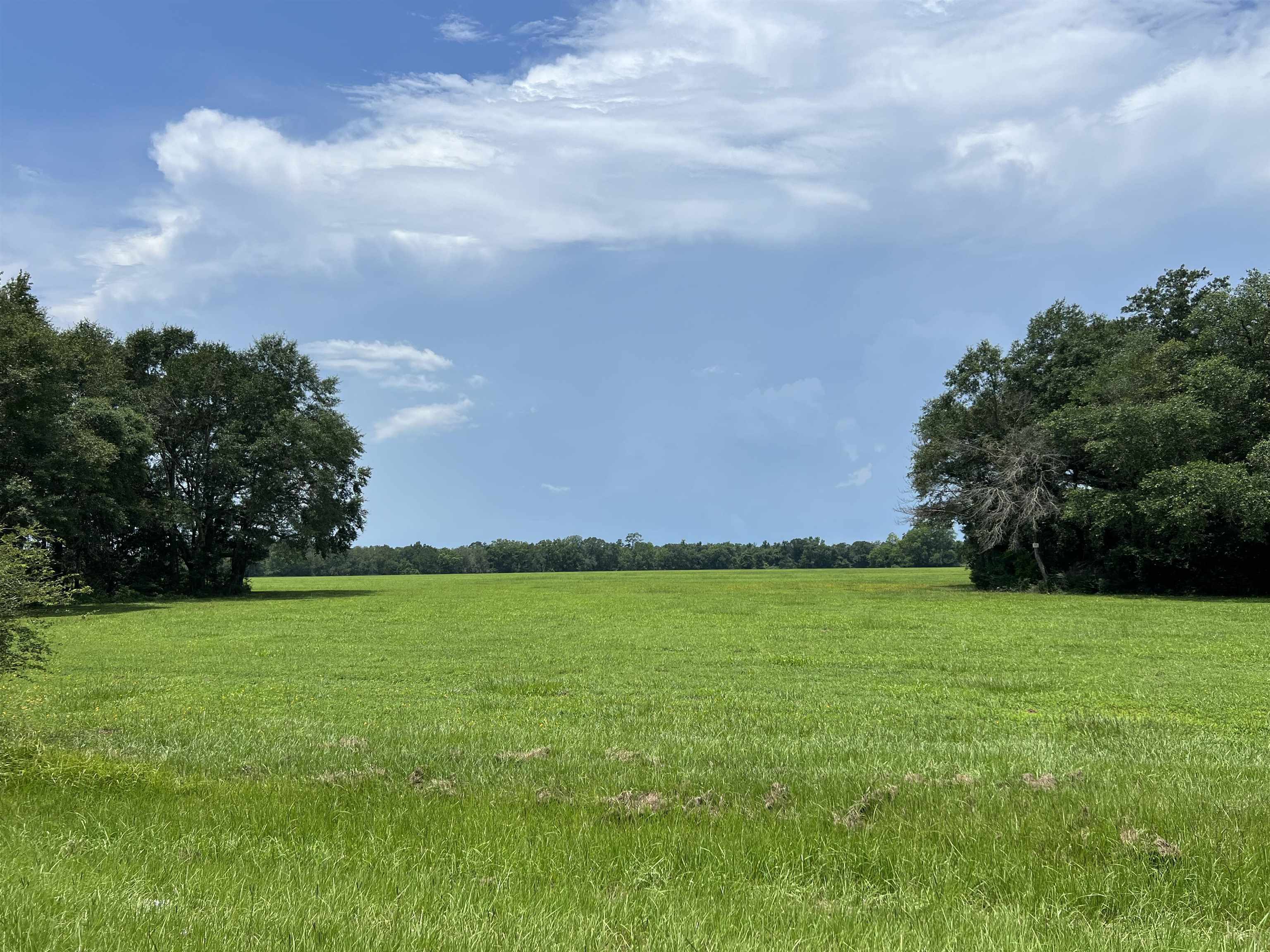 Xx Xx Max Herrin Road Quincy, FL 32352 - Photo 28 of 46