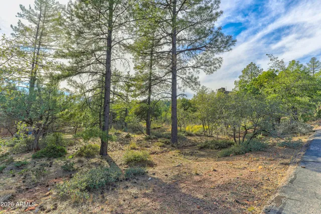 $88,000 | 4919 North N Trails, Unit 171, Pine, AZ 85544